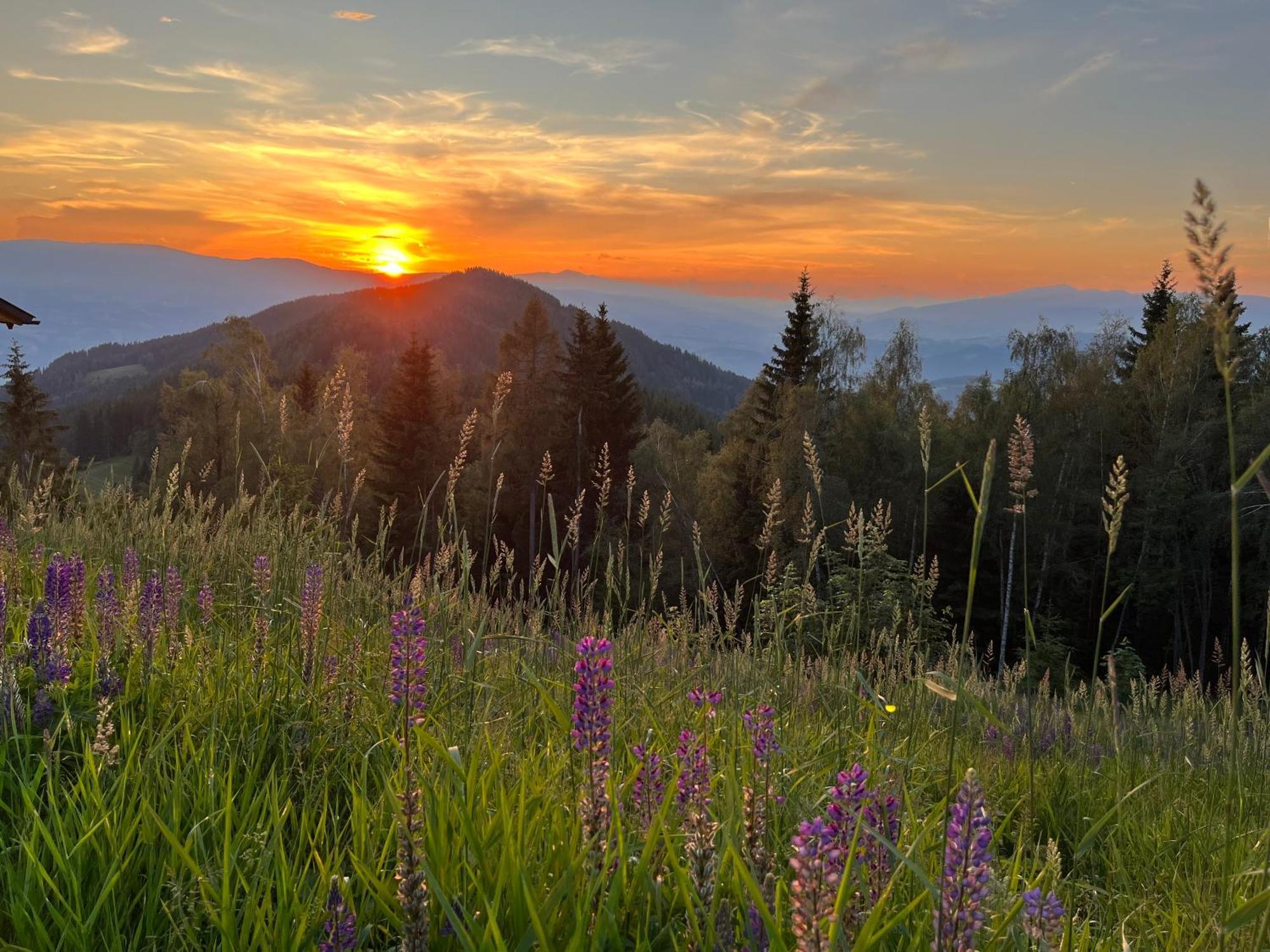 Feriendorf Koralpe Alpenrose Frantschach Extérieur photo